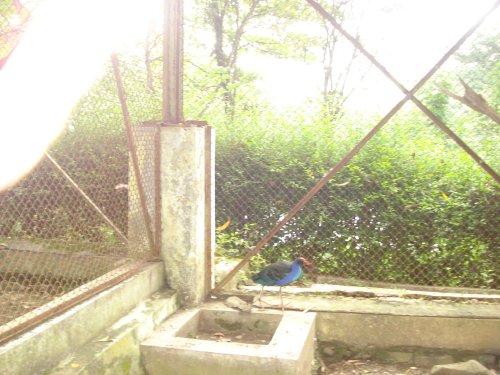 DSC03814